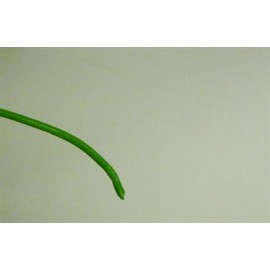 Grønn kabel 0.22 mm2 - 1 m